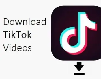 Tiktok Video Downloader